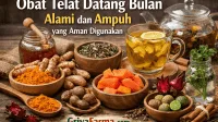 Obat Telat Datang Bulan Alami dan Ampuh yang Aman Digunakan